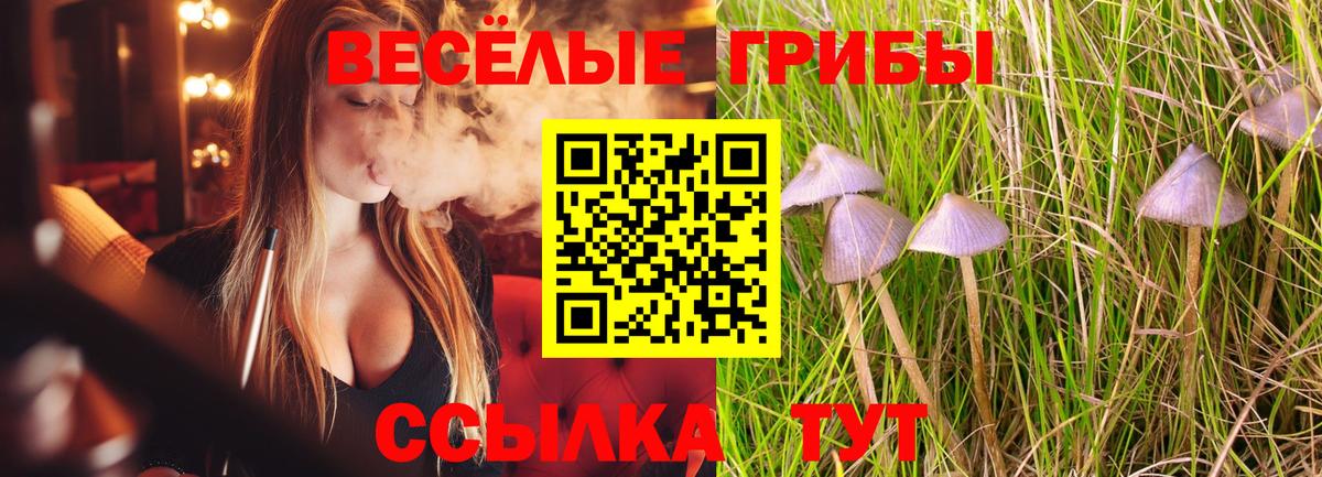 где купить наркоту  Псилоцибиновые грибы GOLDEN TEACHER  Вход с VPN  Сарапул 